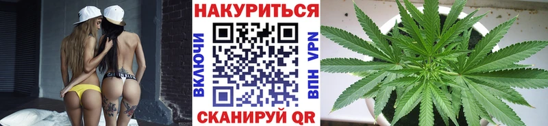Магазины продажи наркотиков Волгоград Cocaine Alpha PVP Галлюциногенные грибы Бошки Шишки