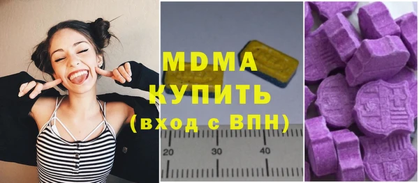 индика Алексин