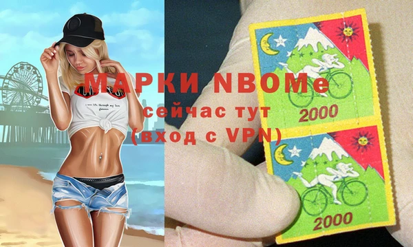 индика Алексин