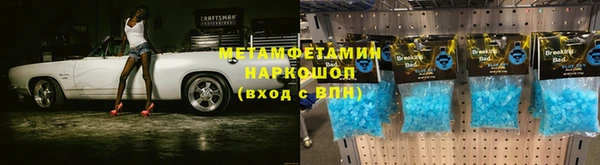 индика Алексин