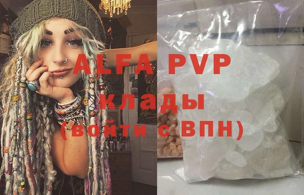 индика Алексин