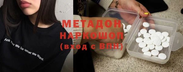 индика Алексин