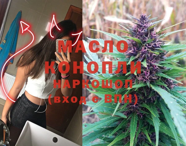 индика Алексин