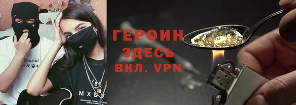 индика Алексин