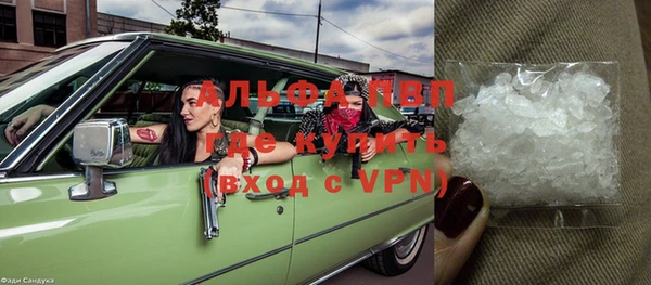 индика Алексин