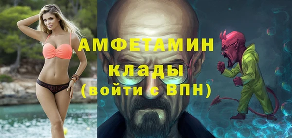 индика Алексин