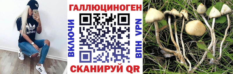 площадка наркотические препараты купить закладку мега ССЫЛКА Волгоград Псилоцибиновые грибы MAGIC MUSHROOMS